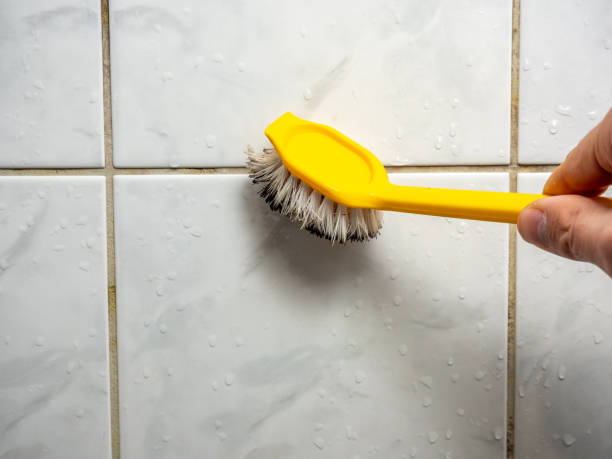 Mold Removal Process in Landmark, AR
