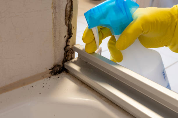 Best Professional Mold Removal  in Landmk, AR