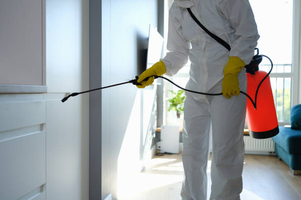 Best Mold Cleaning Services  in Landmk, AR